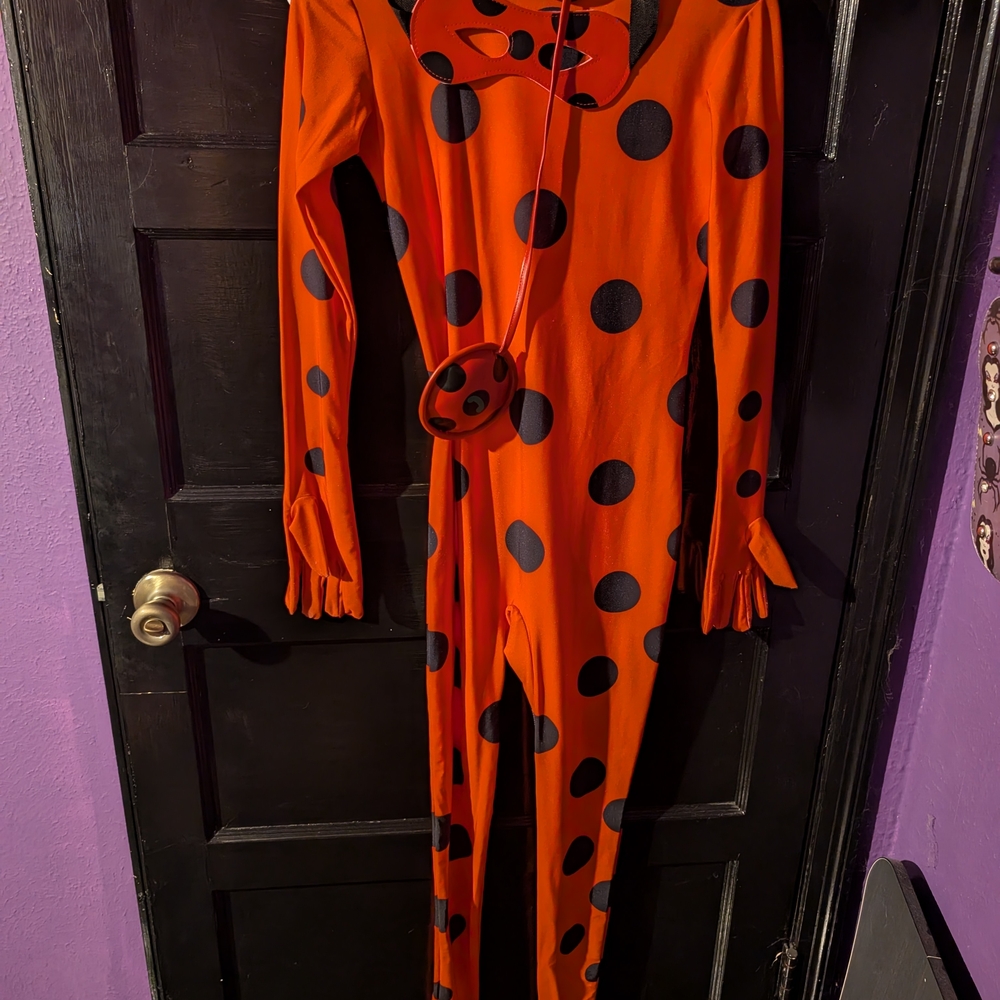 Miraculous ladybug Cosplay